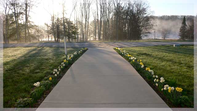 daffodil_path